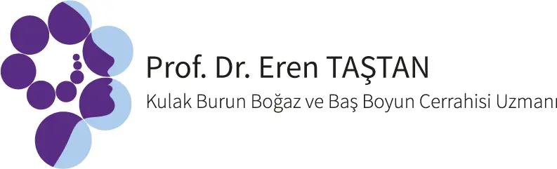 Logo von Prof. Dr. Eren Taştan