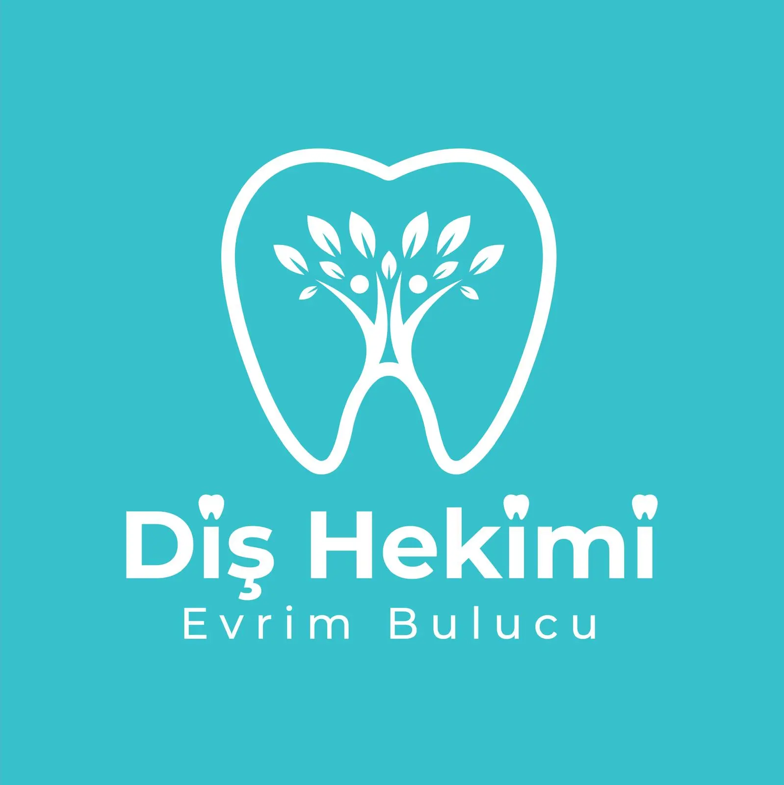 Dr Evrim Bulucu logo