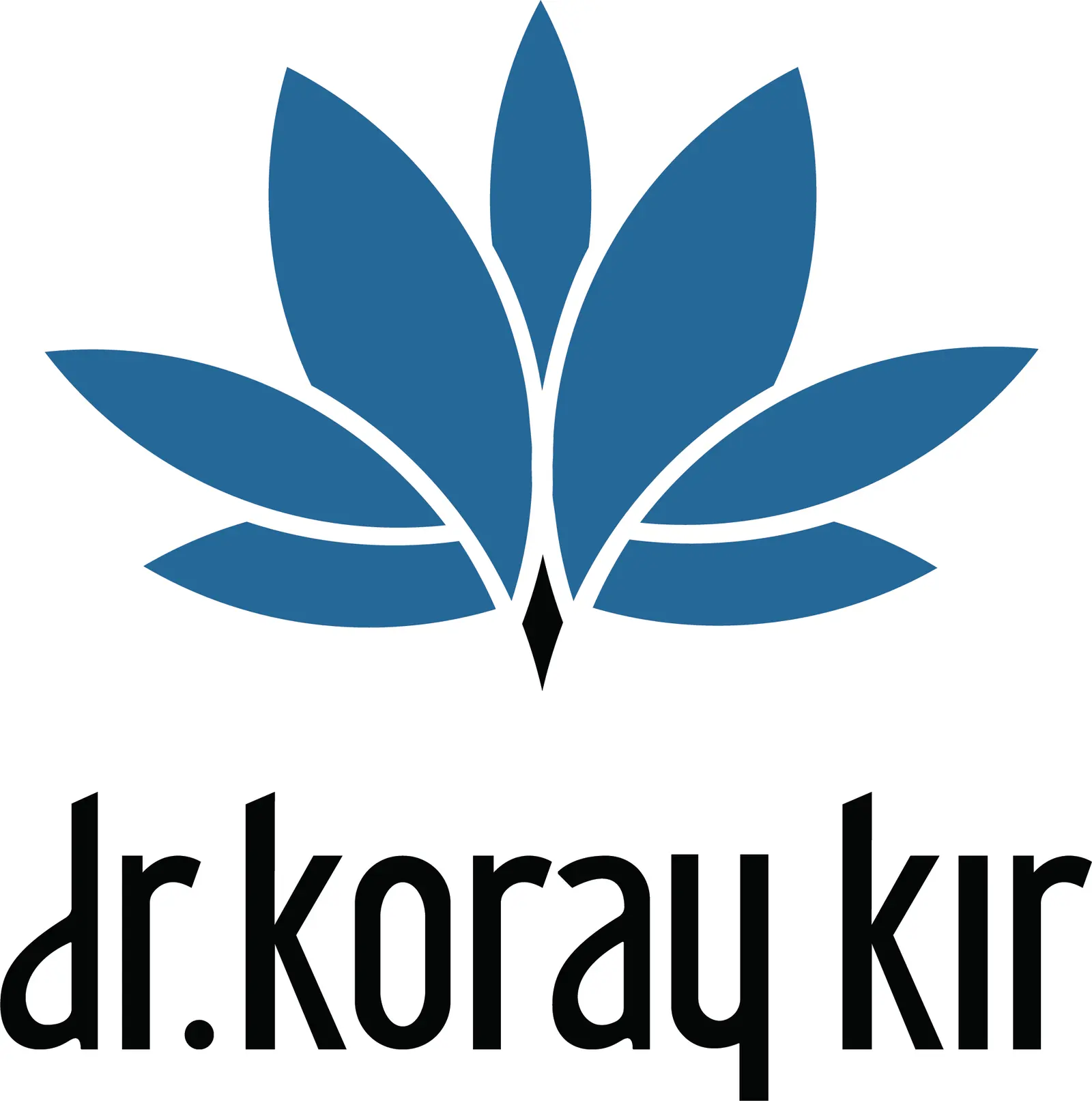 Dr Koray Kır logo