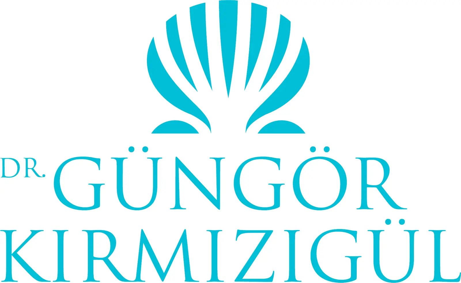 Dr Güngör Kırmızıgül logo