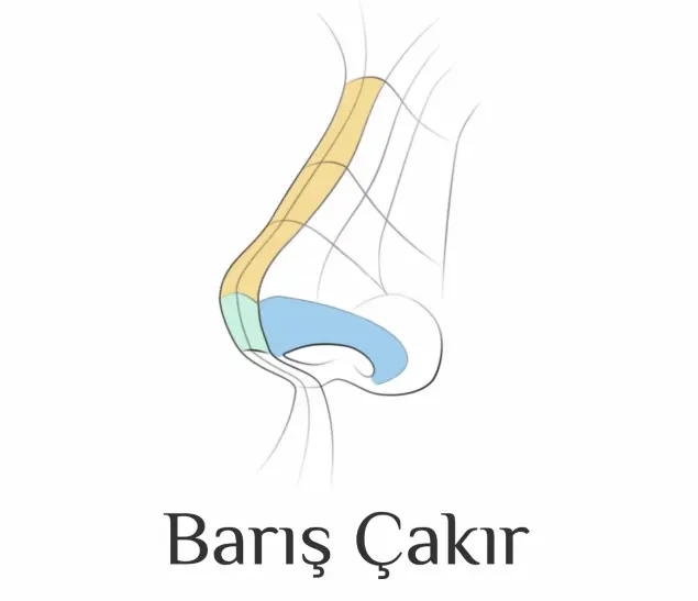 Assoc. Prof. Dr Mehmet Barış Çakır logo