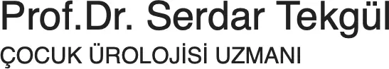 Prof. Dr Serdar Tekgül logo