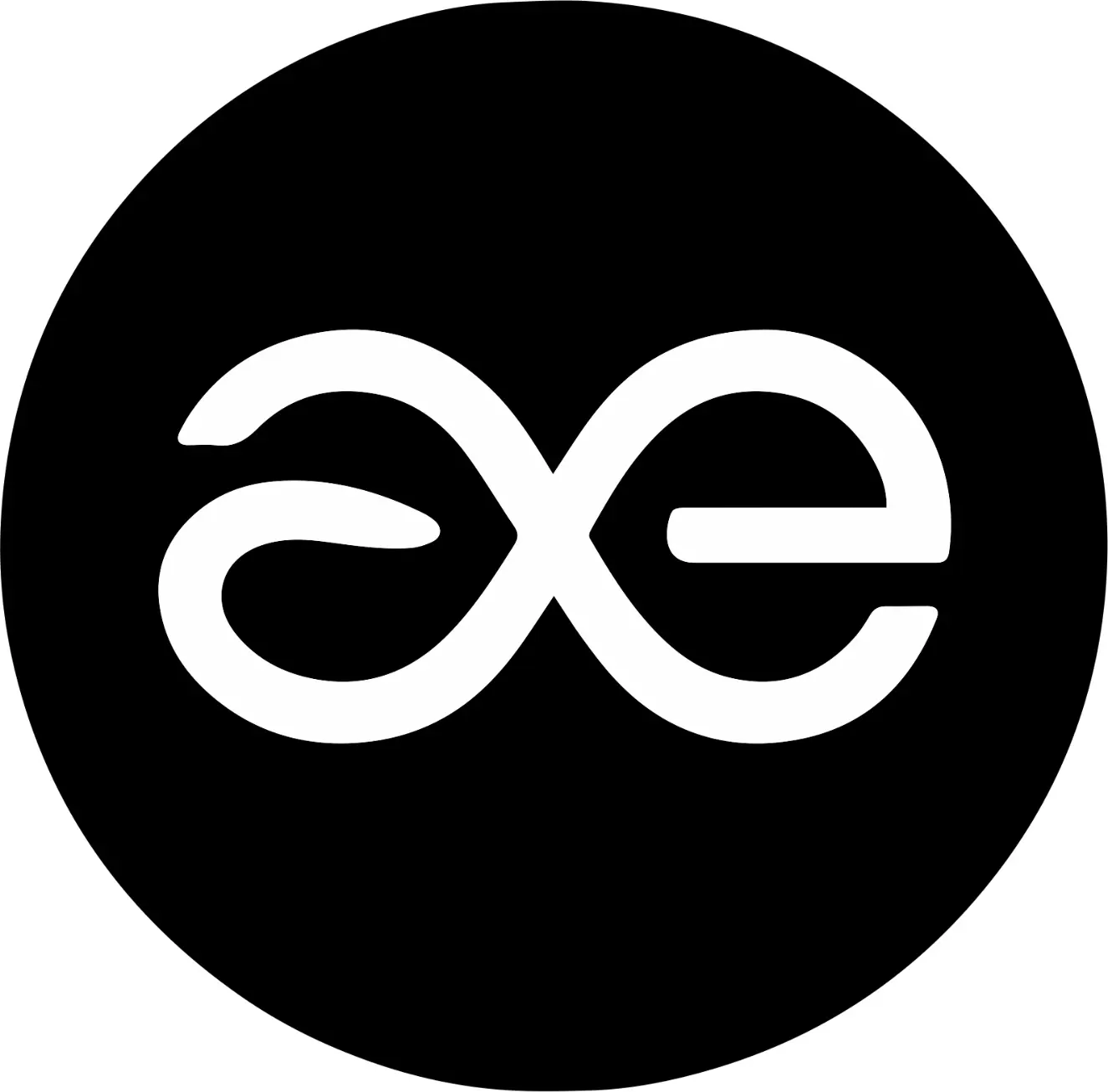 Assoc. Prof. Dr Ayhan Işık Erdal logo