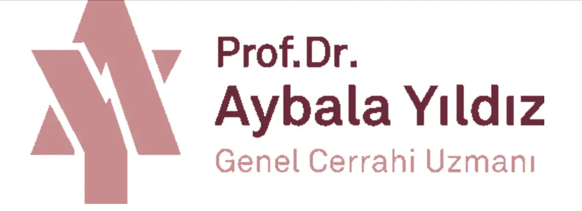 Prof. Dr Aybala Yıldız logo