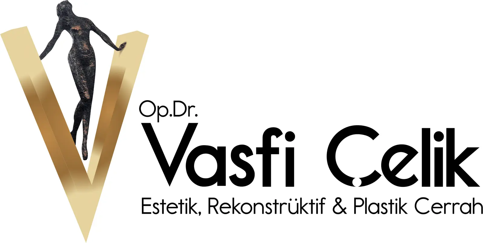 Dr Vasfi Çelik logo