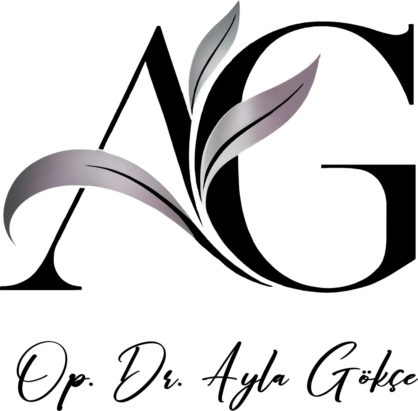 Dr Emine Ayla Gökçe logo
