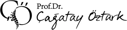 Logo von Prof. Dr. Çağatay Öztürk