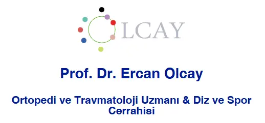 Prof. Dr Ercan Olcay logo