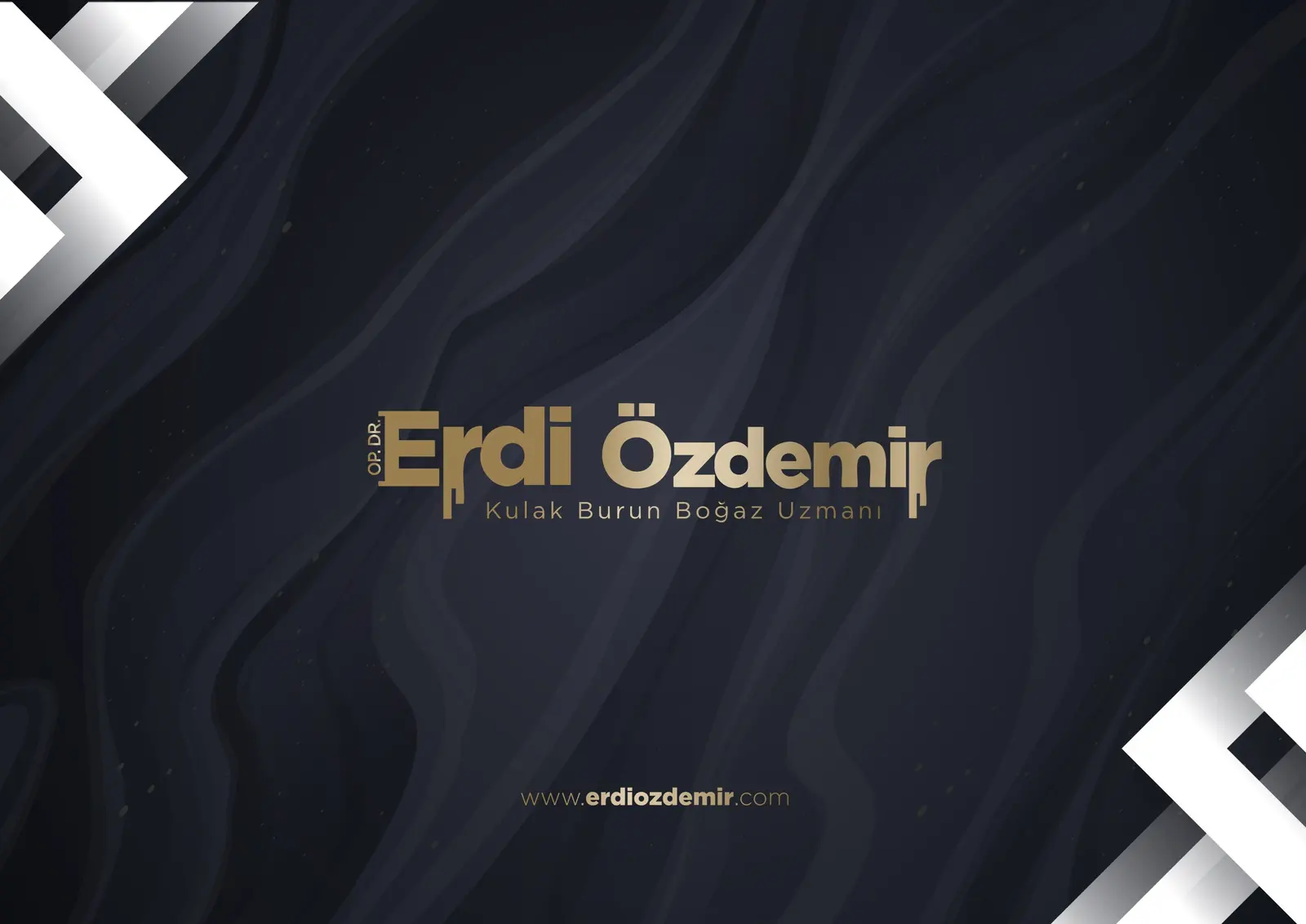 Dr Erdi Özdemir logo