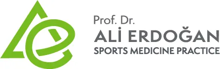 Prof. Dr Ali Erdoğan logo