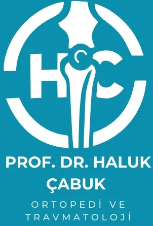 Prof. Dr Haluk Çabuk logo