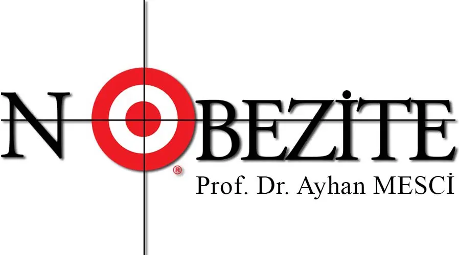 Logo von Prof. Dr. Ayhan Mesci