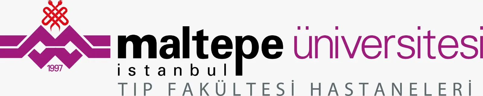 Maltepe University Hospital logo