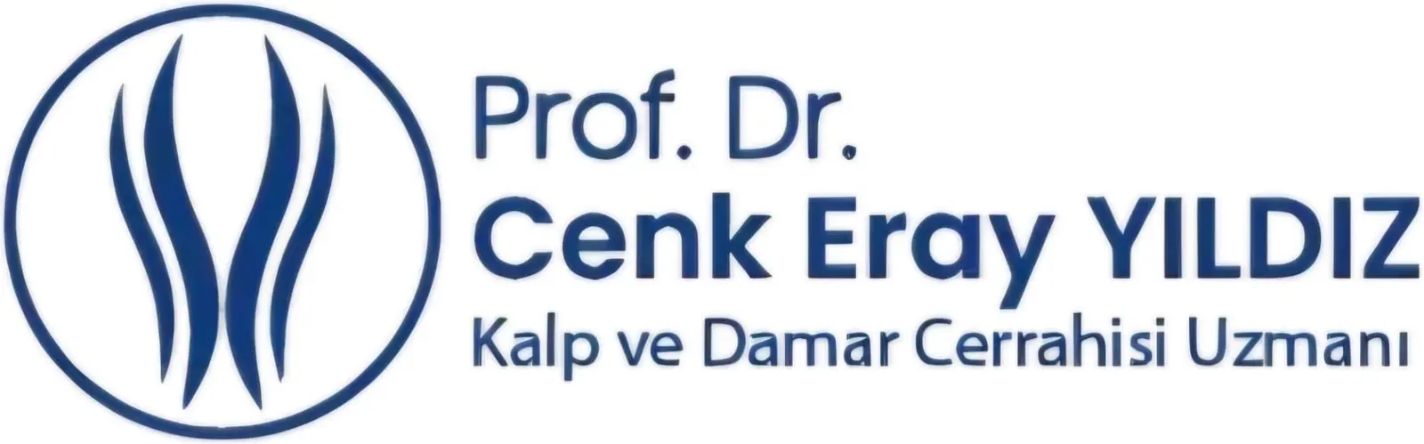 Logo von Prof. Dr. Cenk Eray Yıldız