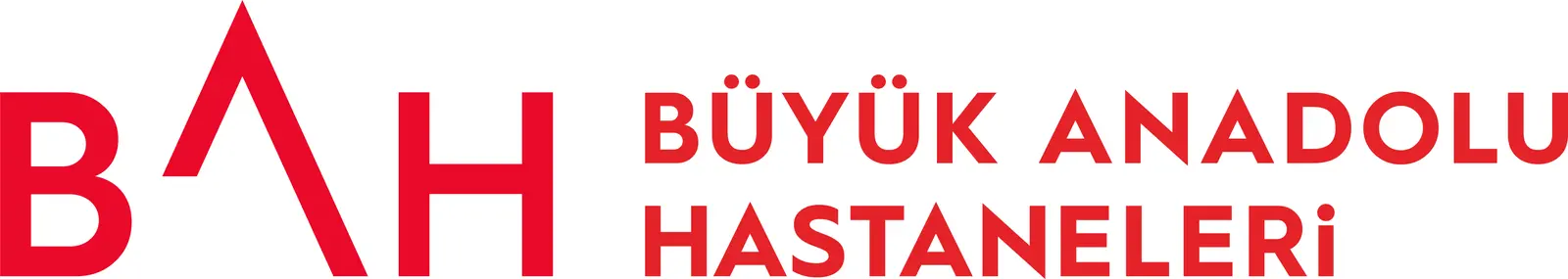 Samsun Büyük Anadolu Hospital logo