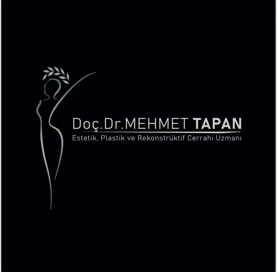 Assoc. Prof. Dr Mehmet Tapan logo