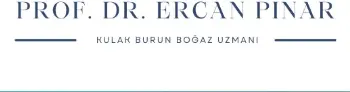 Prof. Dr Ercan Pınar logo