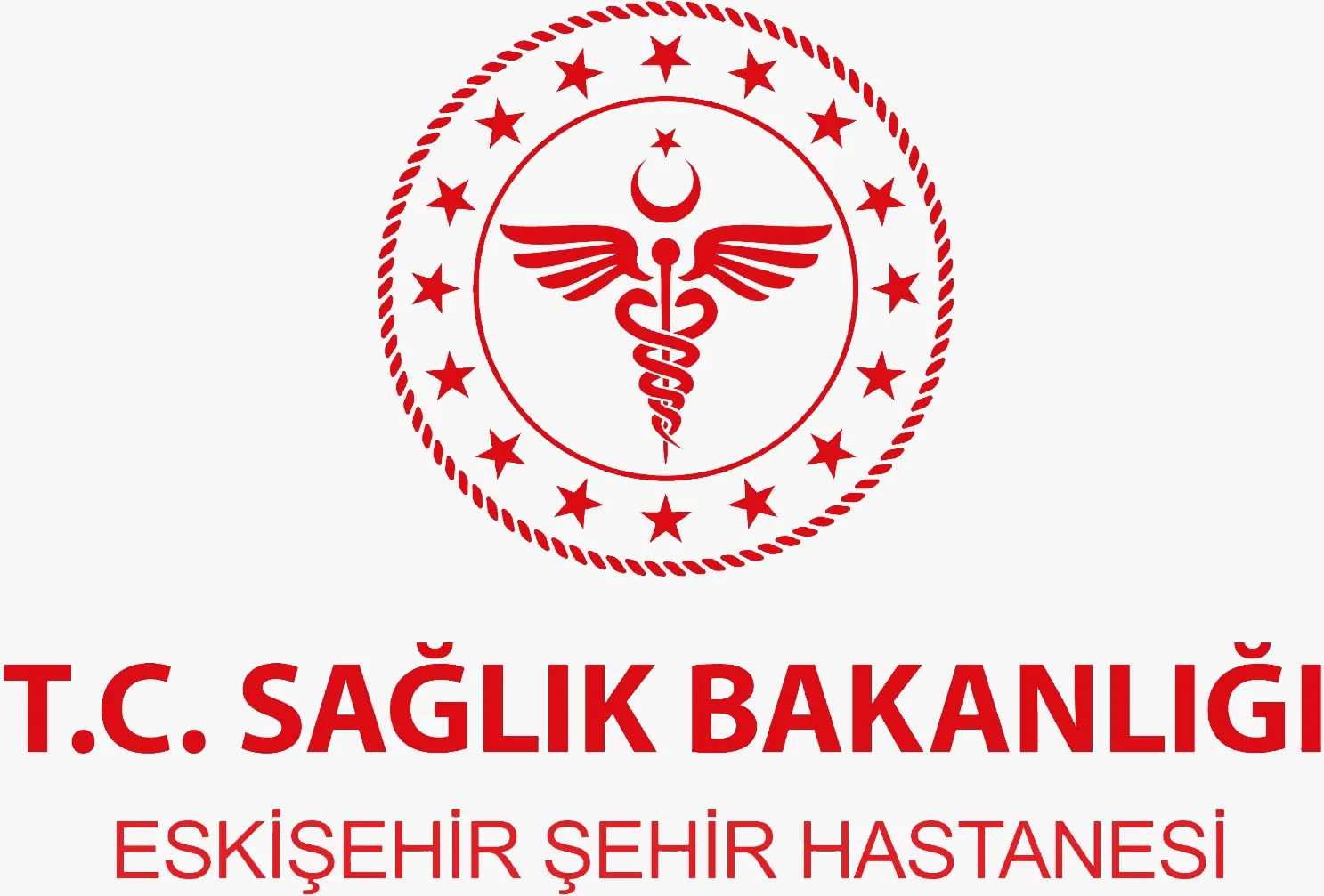 Eskişehir City Hospital logo