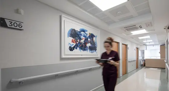 Clinic-provided photograph of Çankaya Hospital