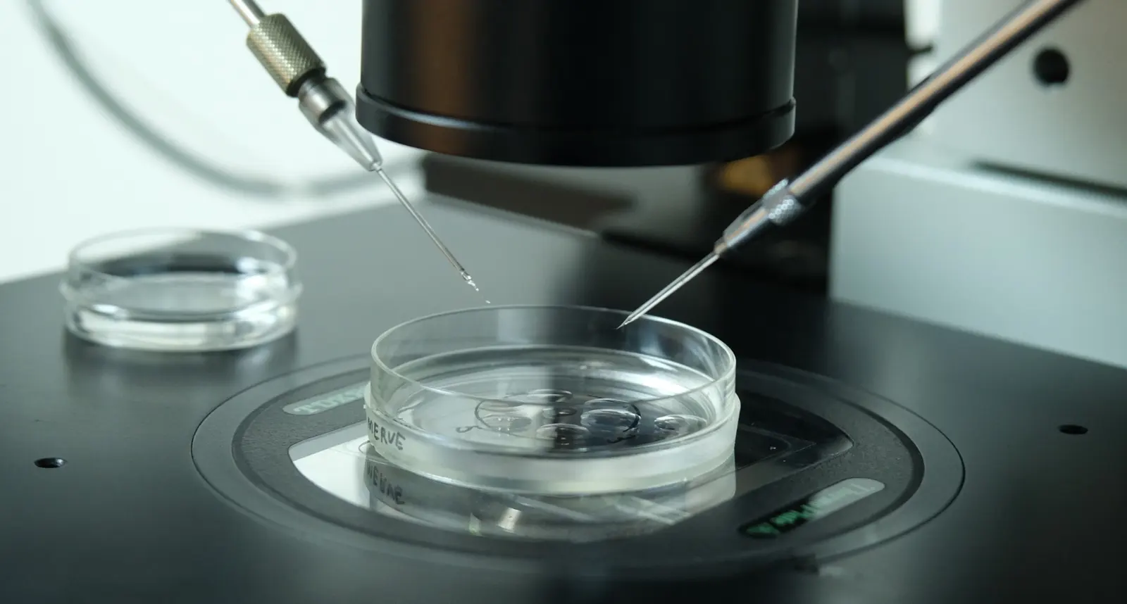 Von der Klinik bereitgestelltes Foto von Medizinisches Zentrum Antalya IVF
