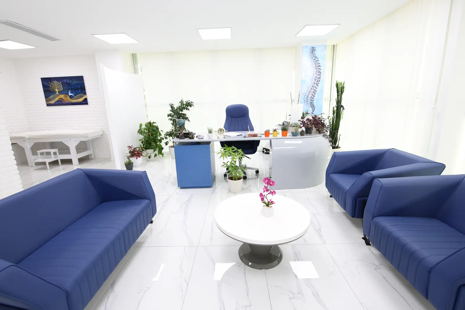 Clinic-provided photograph of Dr Seda Kişi