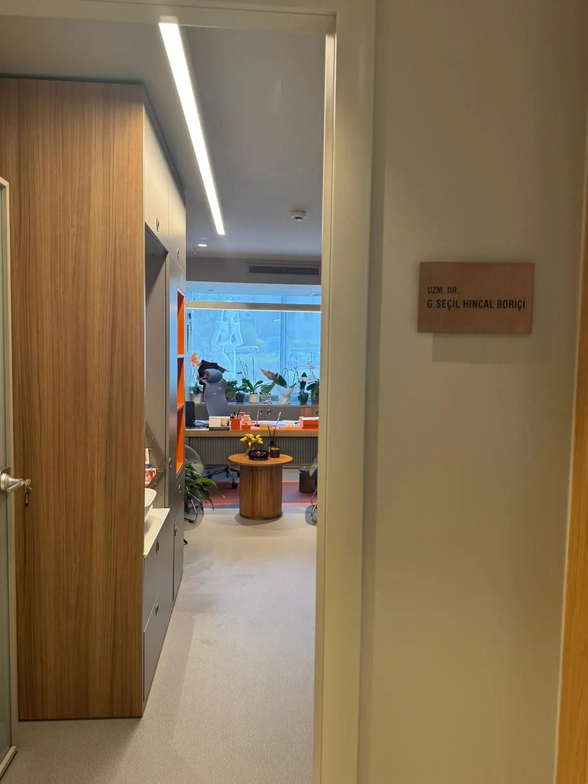 Clinic-provided photograph of Dr Gülüstan Seçil Hincal Boriçi
