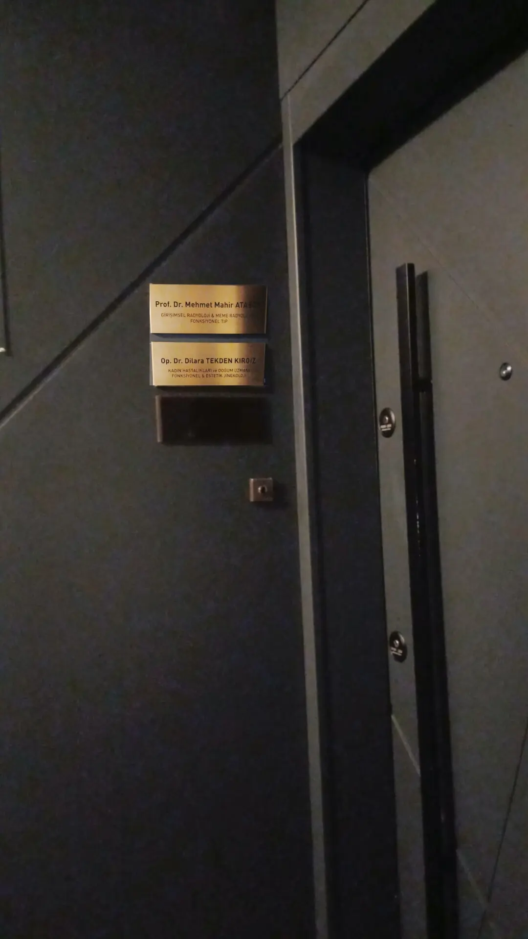 Clinic-provided photograph of Dr Dilara Tekden Kırgız