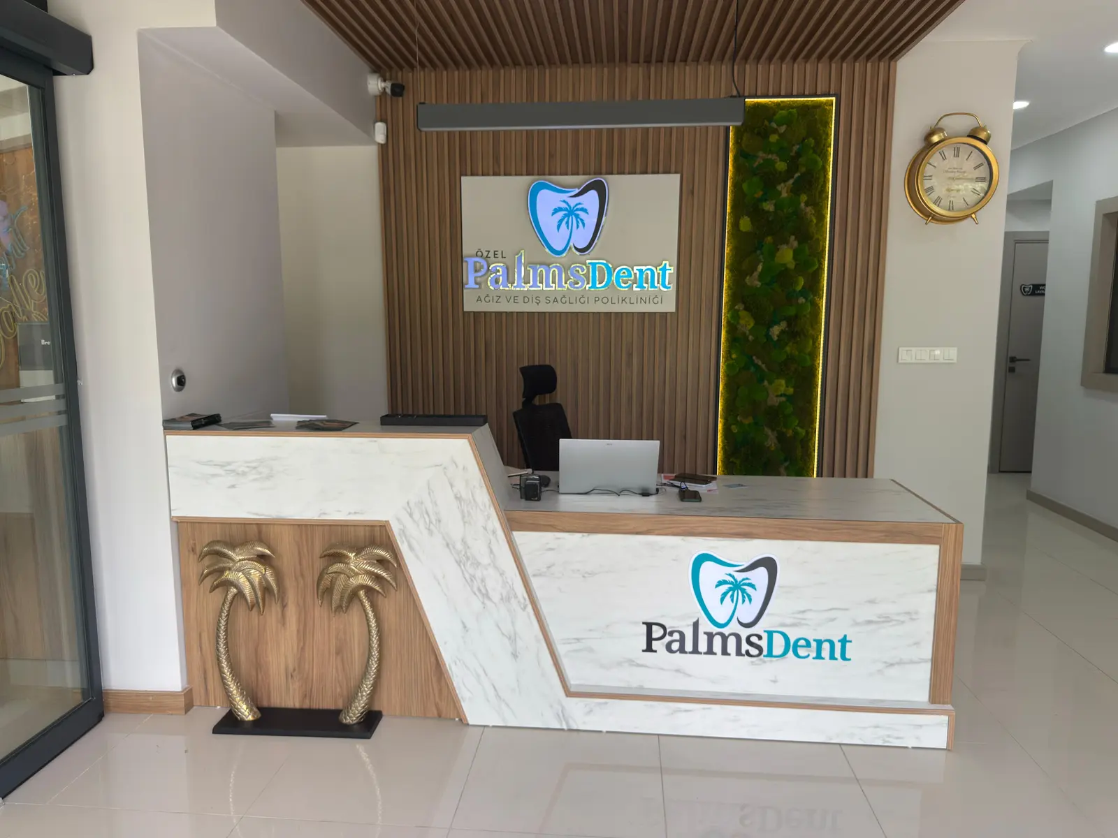 Clinic-provided photograph of Palms Dent