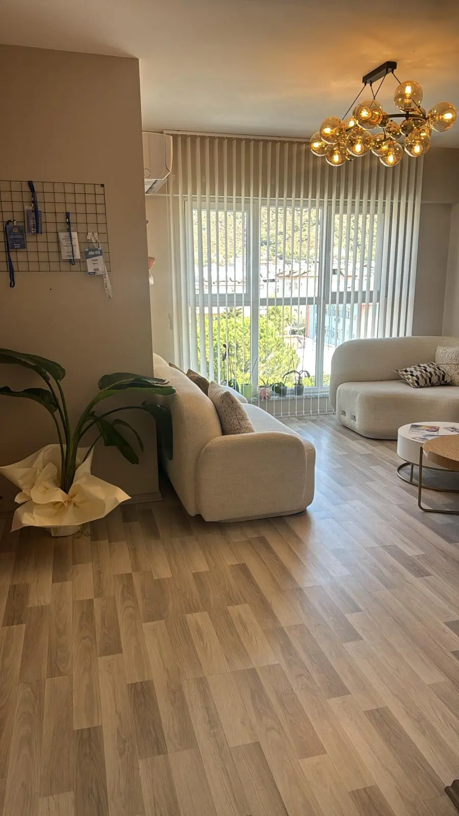 Clinic-provided photograph of Dr Burçin Balcı