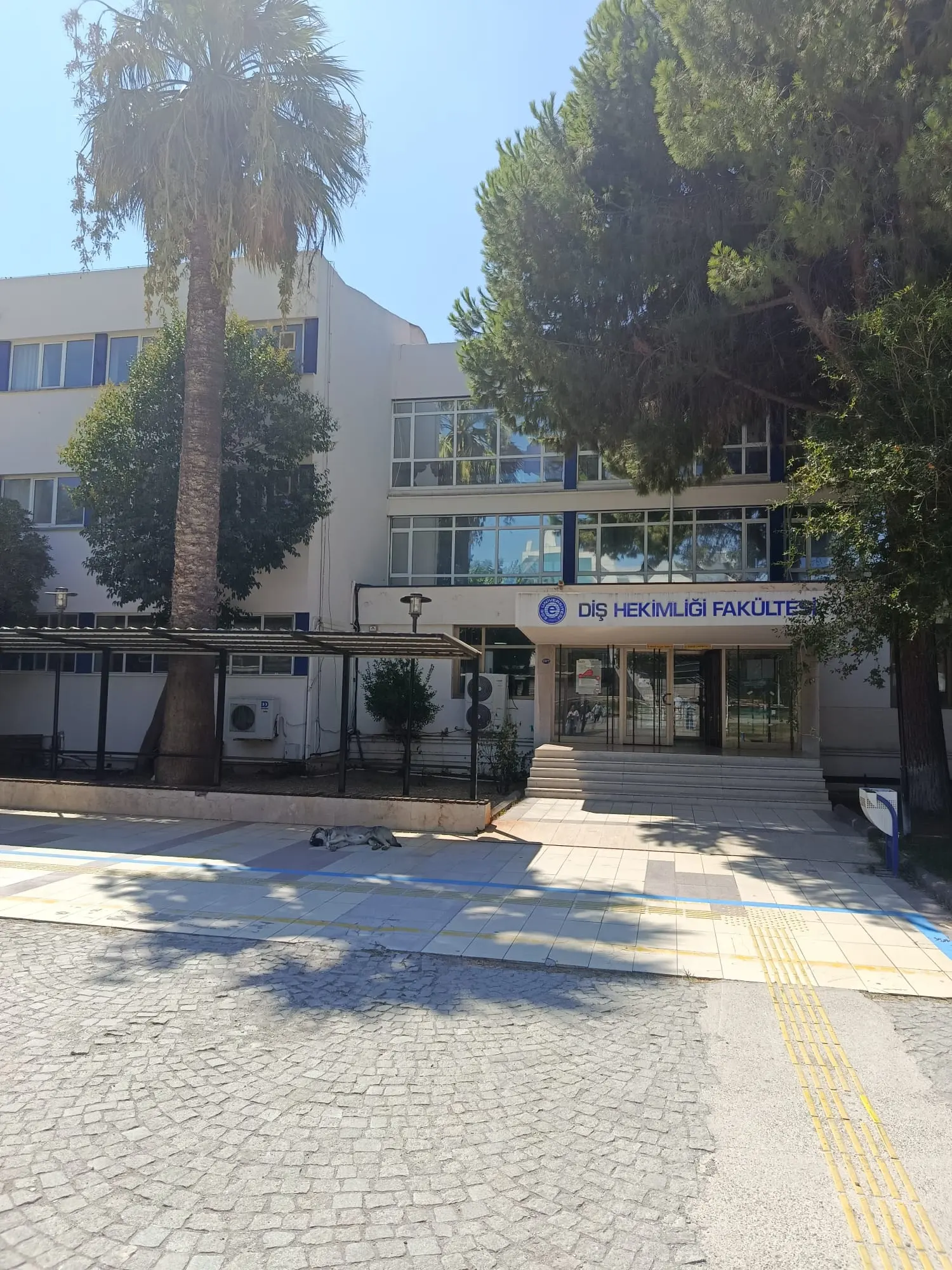 Von der Klinik bereitgestelltes Foto von Ege University Faculty of Dentistry