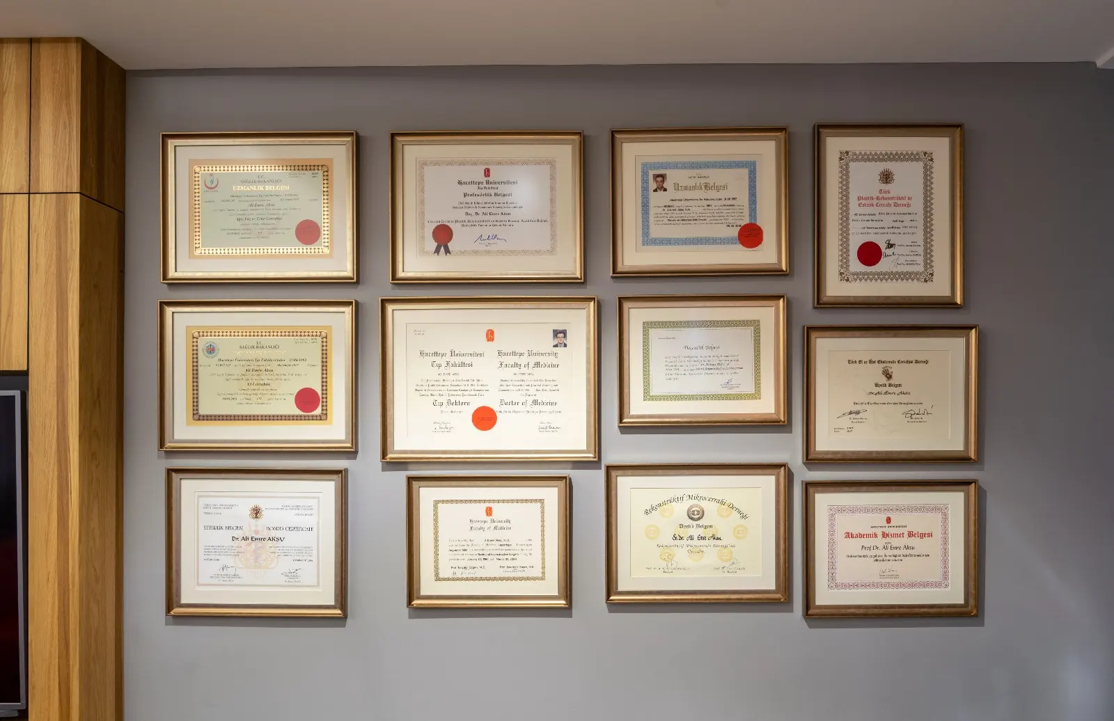 Clinic-provided photograph of Prof. Dr A. Emre Aksu