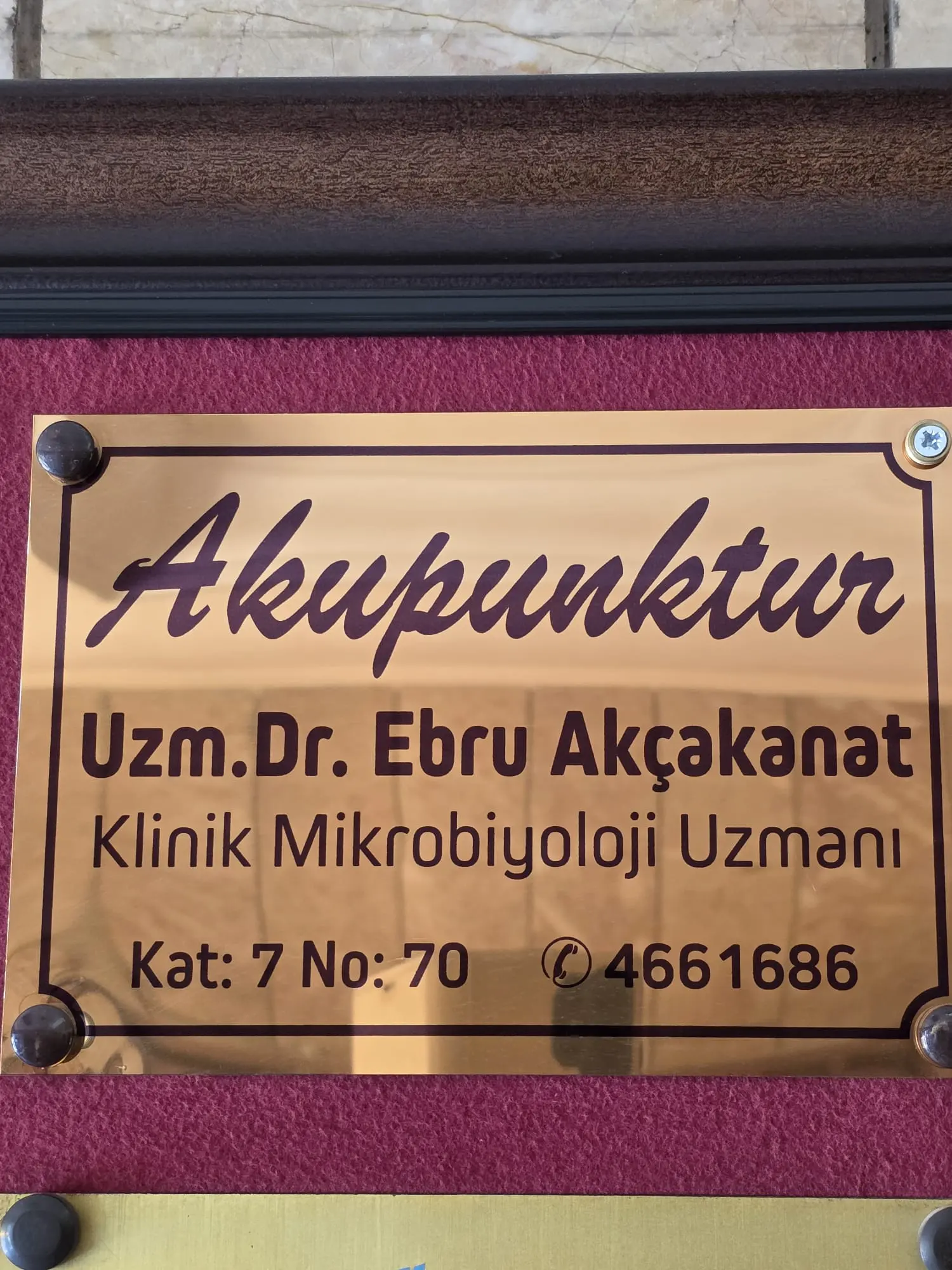 Clinic-provided photograph of Dr Ebru Akçakanat