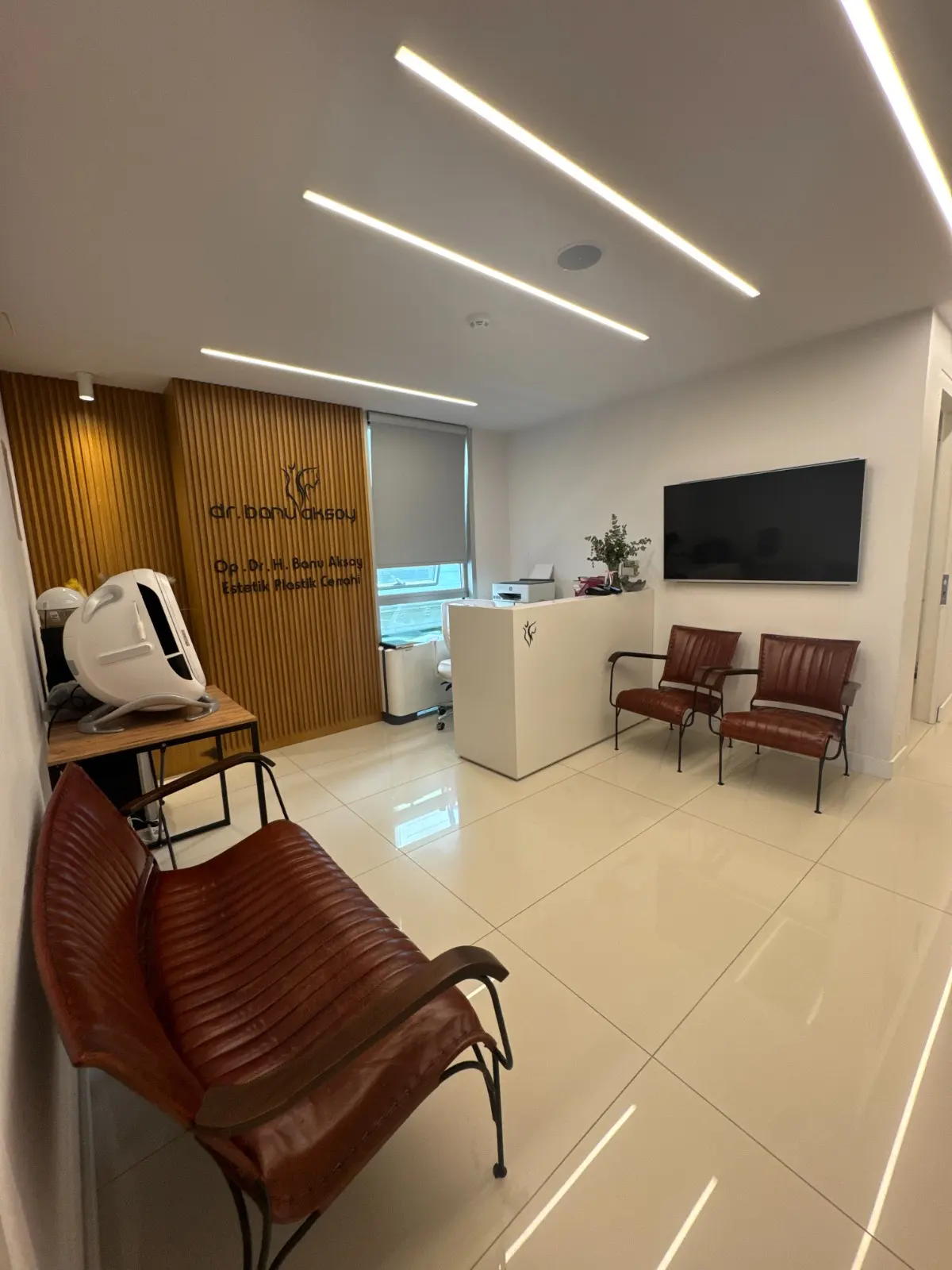 Clinic-provided photograph of Dr Hacer Banu Aksoy