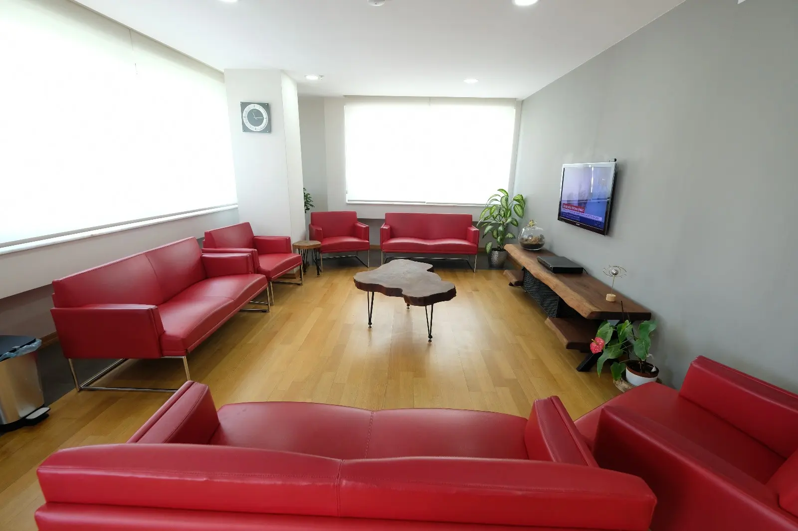 Clinic-provided photograph of Dr Münevver Şenkal