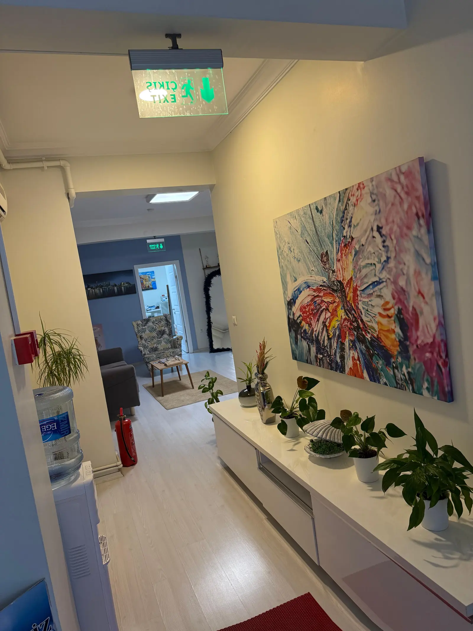 Clinic-provided photograph of Dr Fatma Belgin Aygün