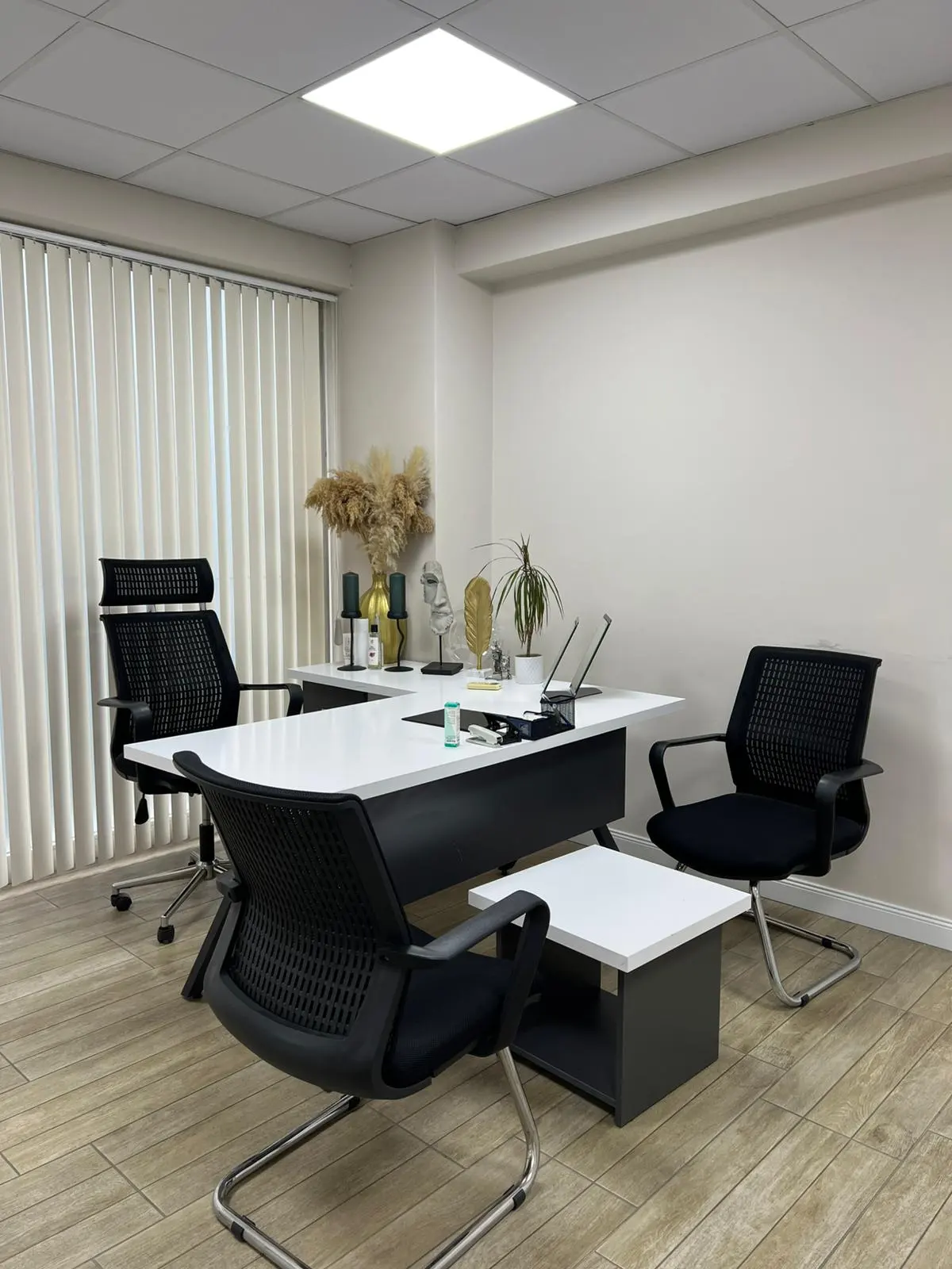 Clinic-provided photograph of Dr Efsun Akın