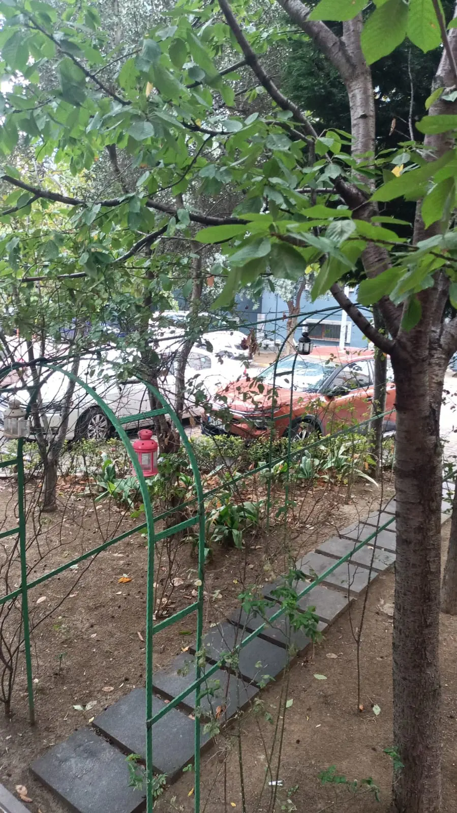 Clinic-provided photograph of Dr Tahsin Saygı