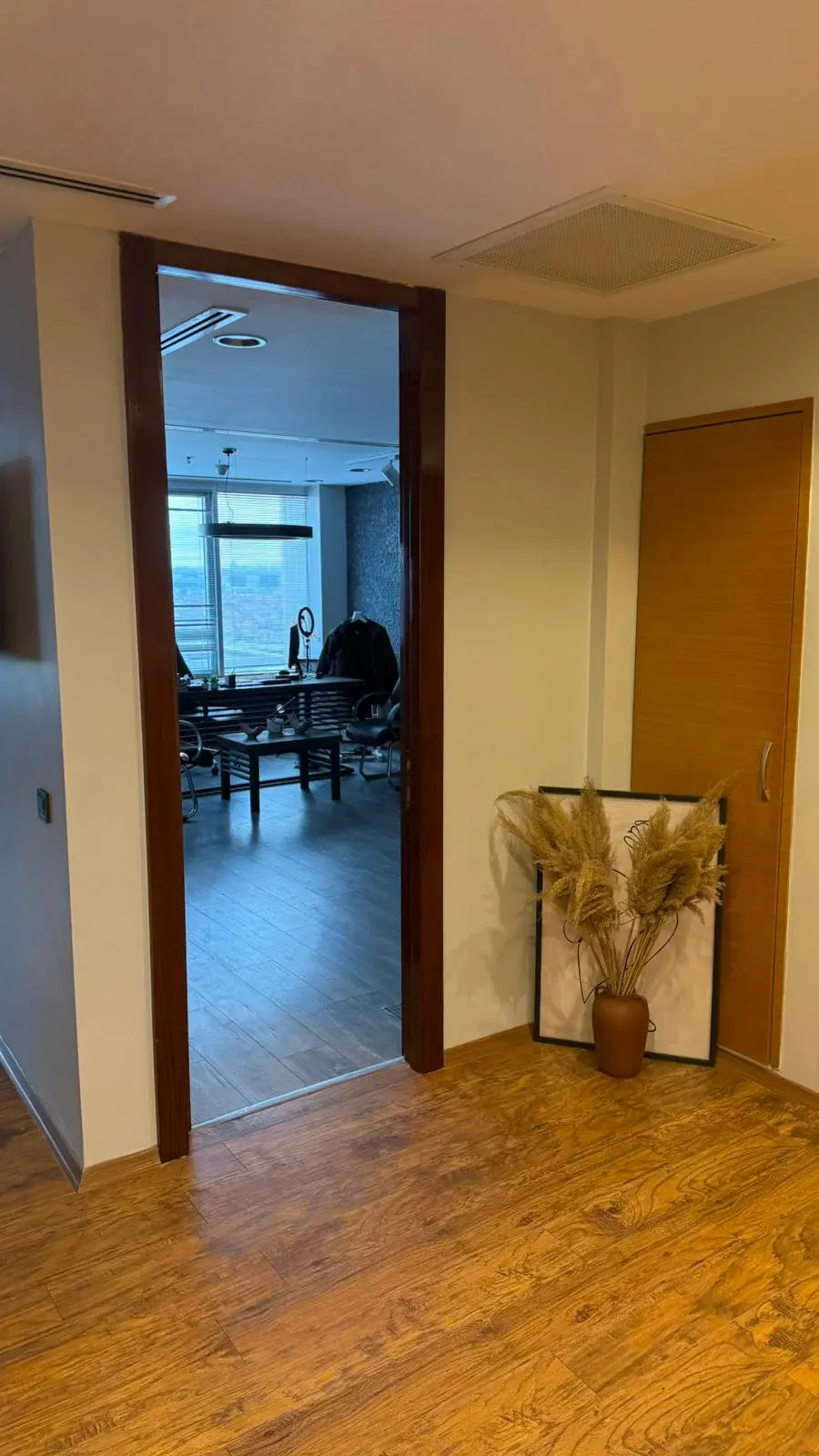 Clinic-provided photograph of Dr Vepa Sılapow