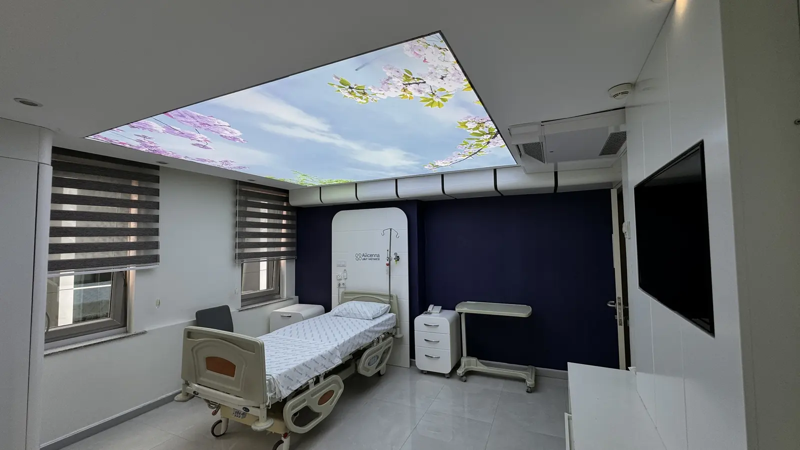 Clinic-provided photograph of Avicenna Umut Hospital