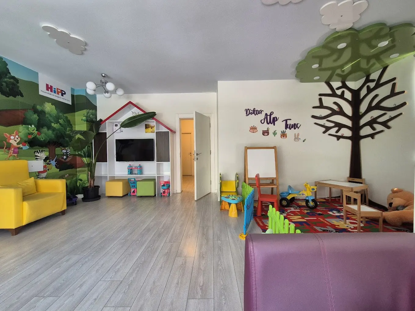 Clinic-provided photograph of Dr Alp Tunç