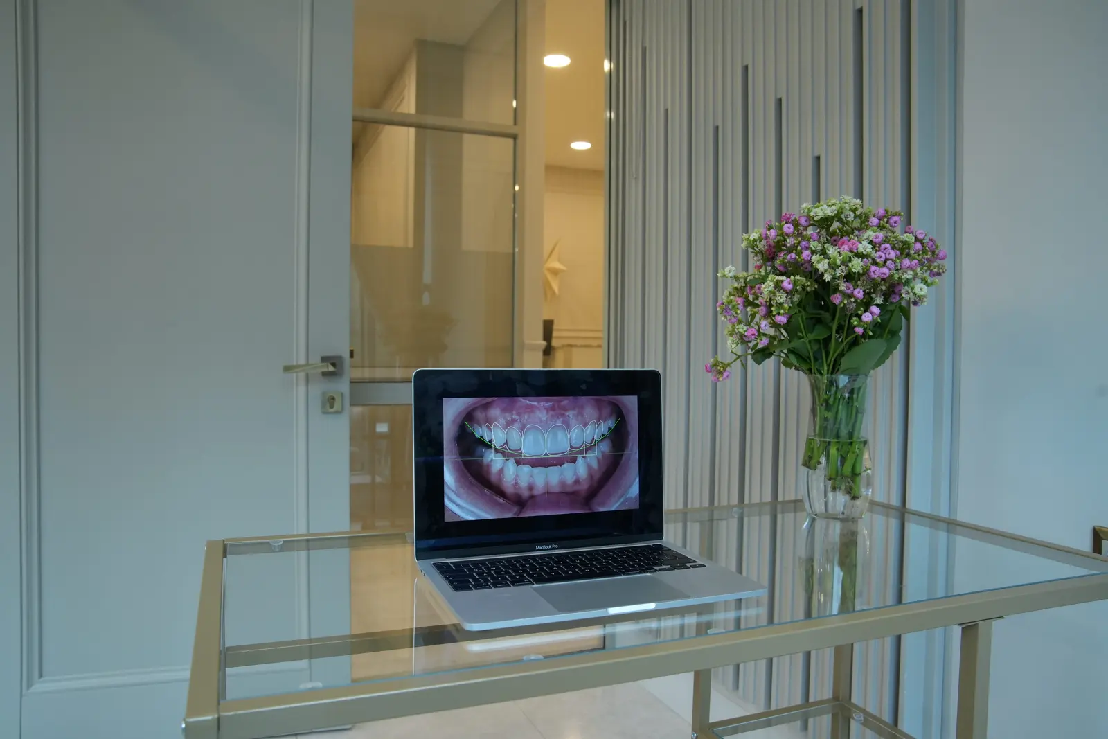 Clinic-provided photograph of Dr Bahar Tekli Gürgen