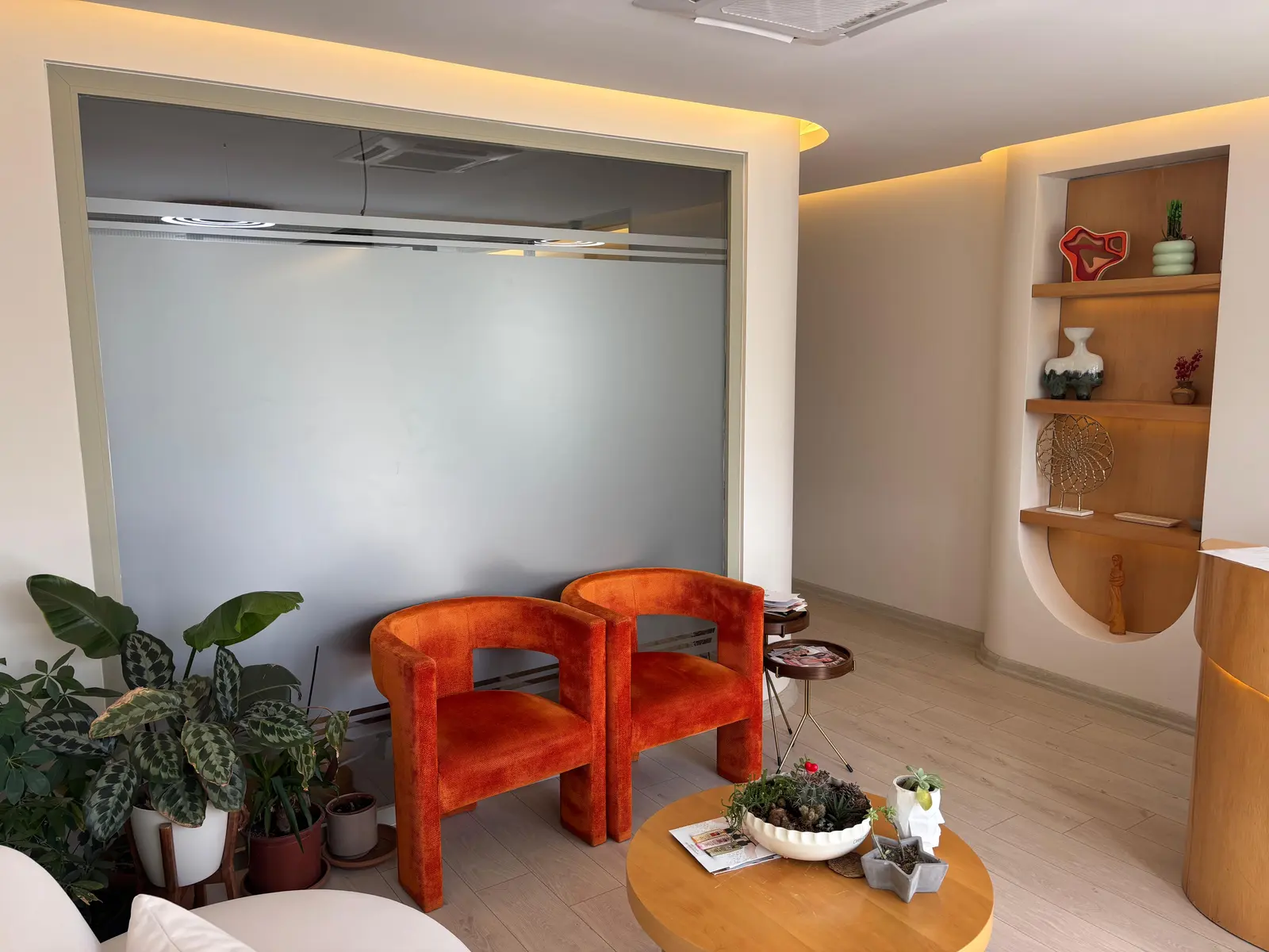 Clinic-provided photograph of Dr Seda Yıldız Yeşildağ