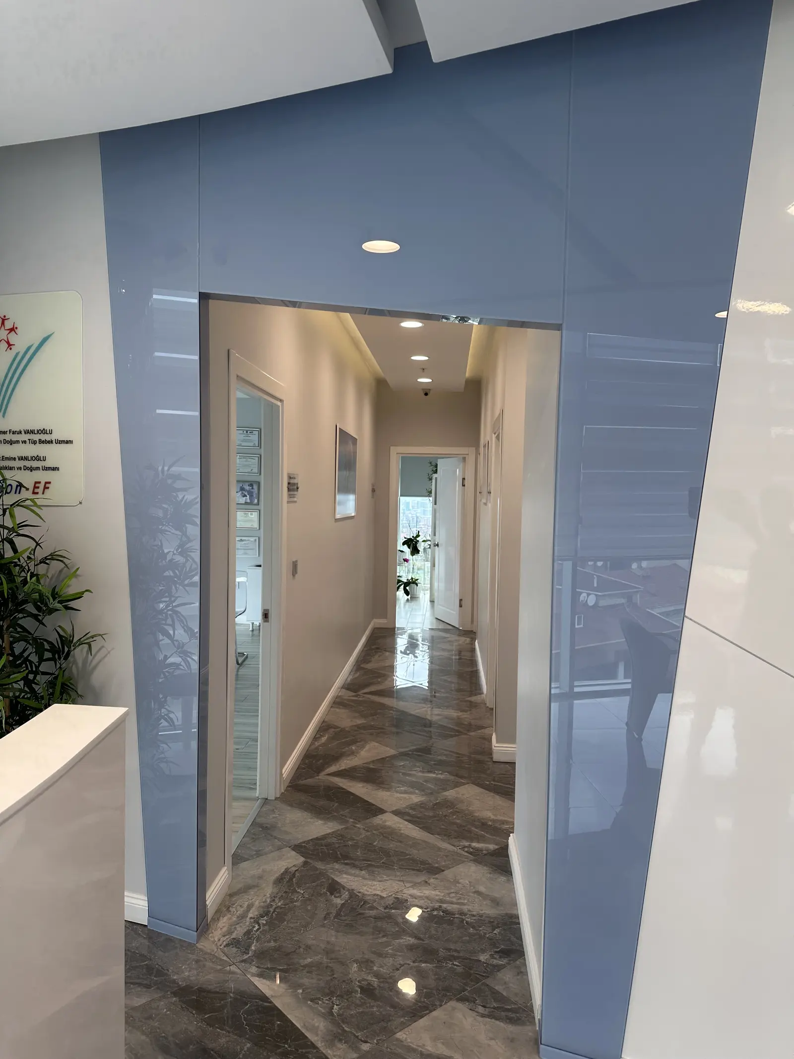 Clinic-provided photograph of Dr Emine Vanlıoğlu