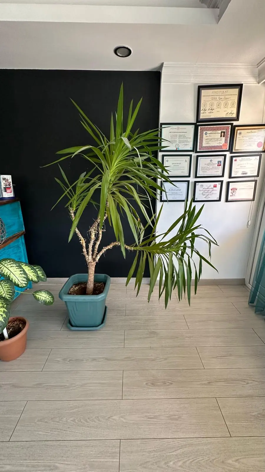 Clinic-provided photograph of Dr Dilek Şipar