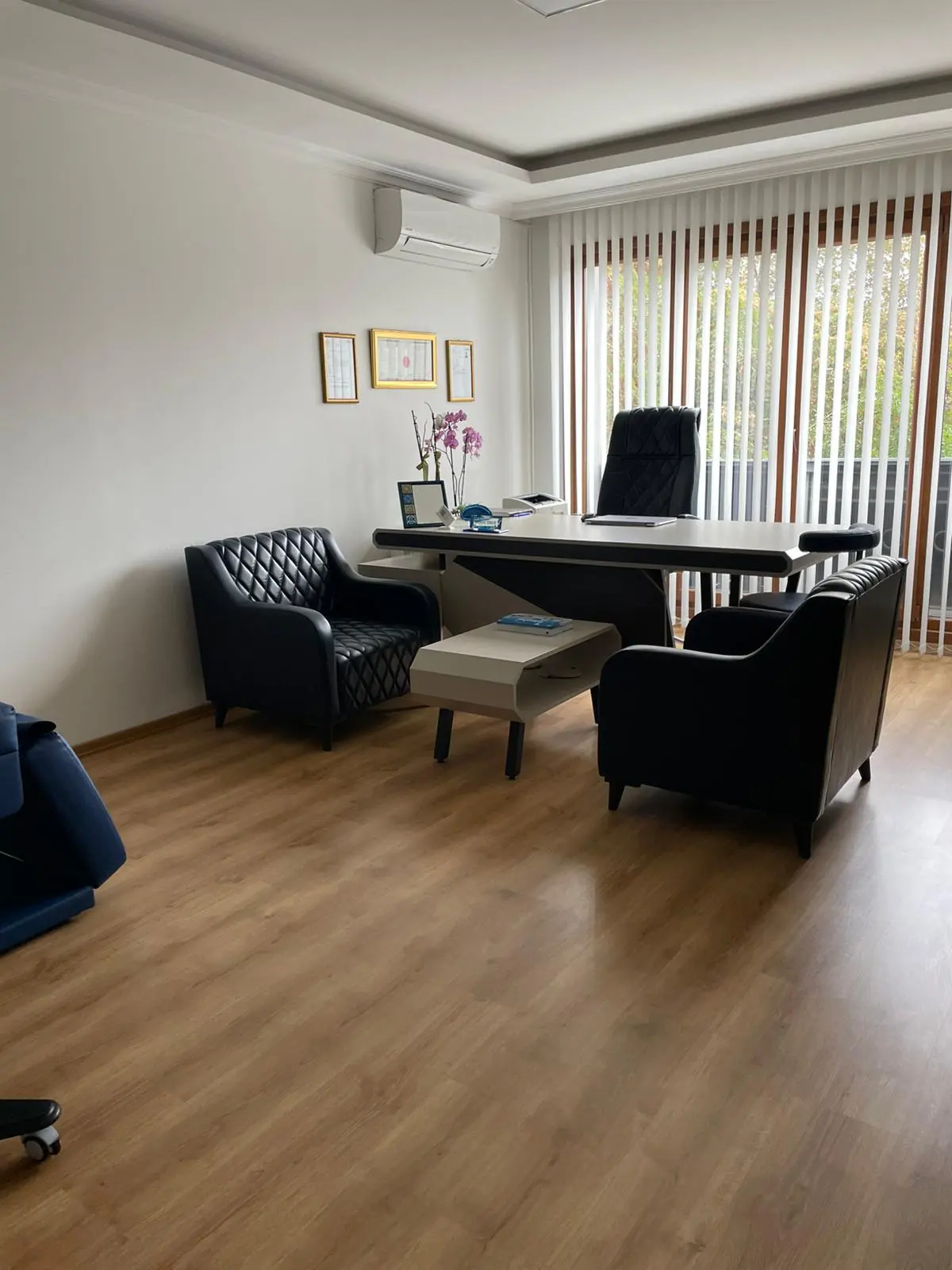 Clinic-provided photograph of Dr Arzu Özkan