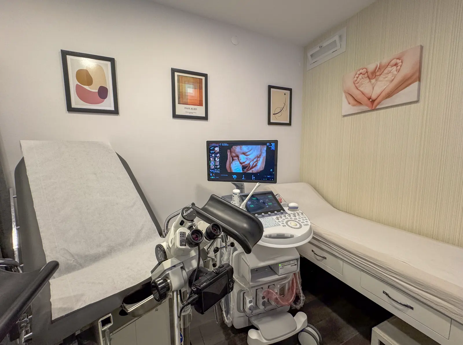 Clinic-provided photograph of Prof. Dr Servet Özden Hacıvelioğlu