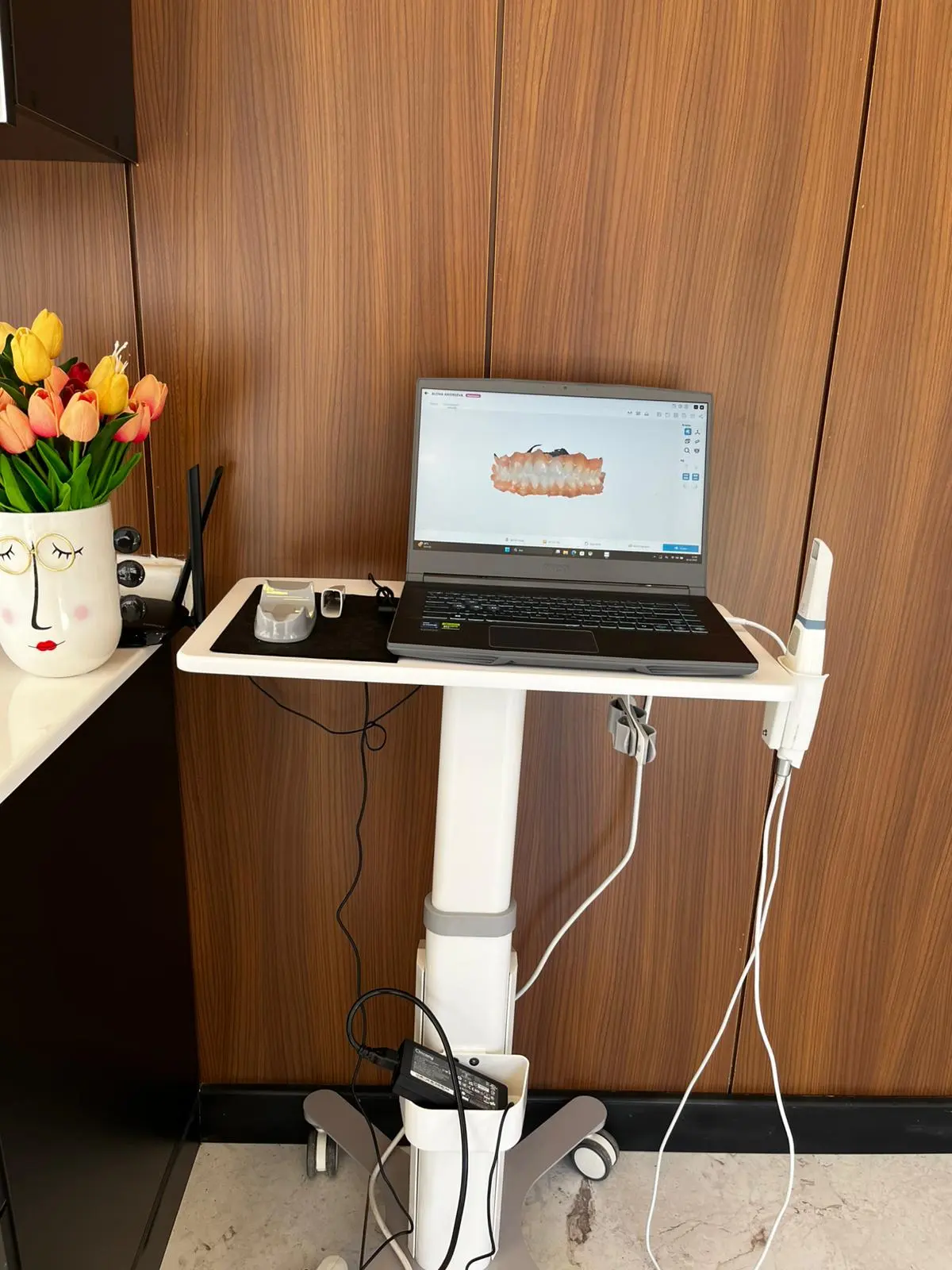 Von der Klinik bereitgestelltes Foto von Dr. Alina Palagenko