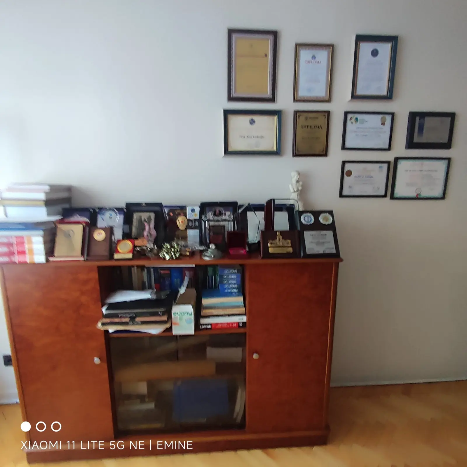 Clinic-provided photograph of Prof. Dr Ateş Kadıoğlu