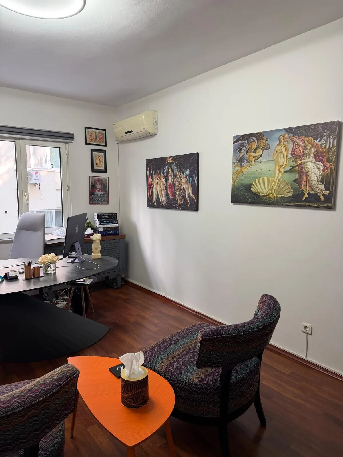 Clinic-provided photograph of Dr Emine Zeynep Yılmaz