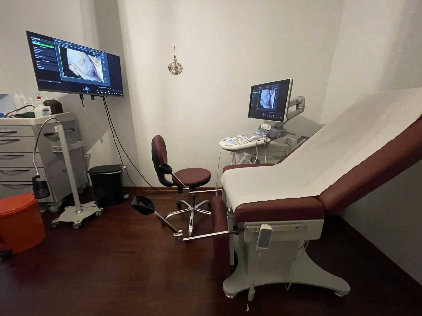 Clinic-provided photograph of Assoc. Prof. Dr Lale Susan Karakış